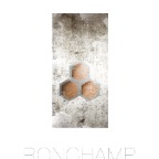 Ronchamp2-copper