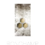 Ronchamp2